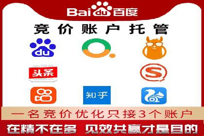 百度竞价排名案例分享：广告投放的技巧与误区
